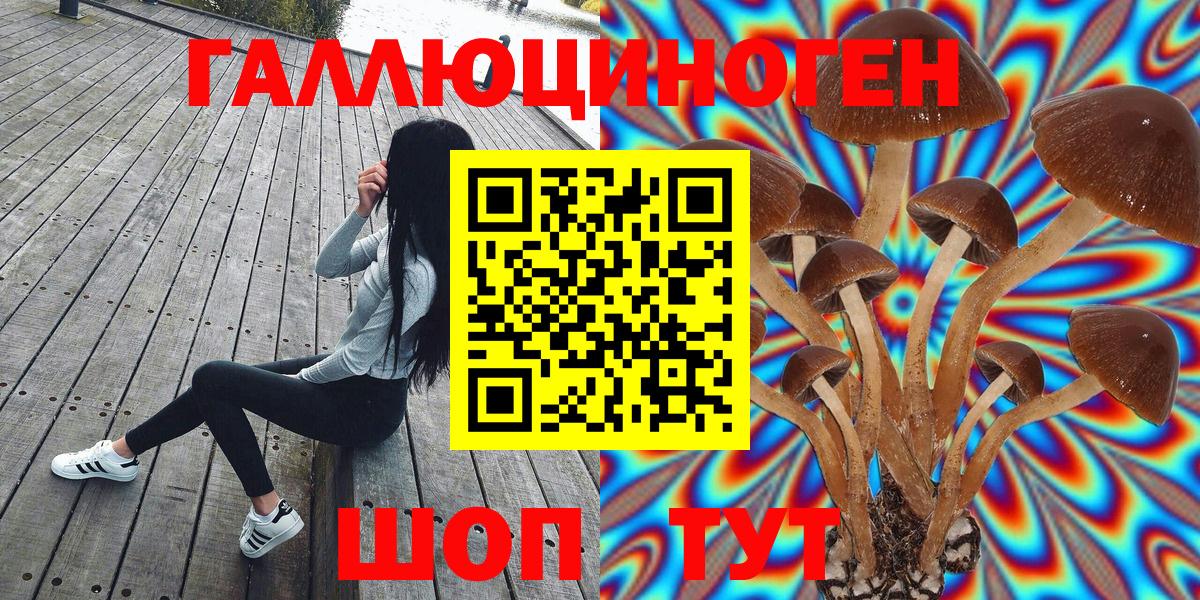 Майский  Псилоцибиновые грибы GOLDEN TEACHER  Вход с VPN  Галлюциногенные грибы прущие грибы 