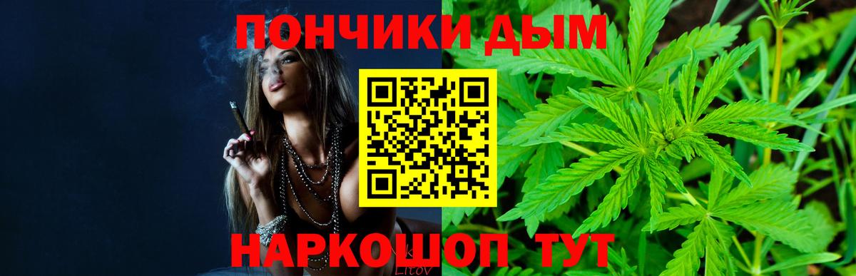 Конопля план Майский
